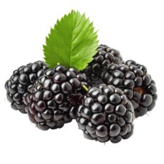 Blackberries