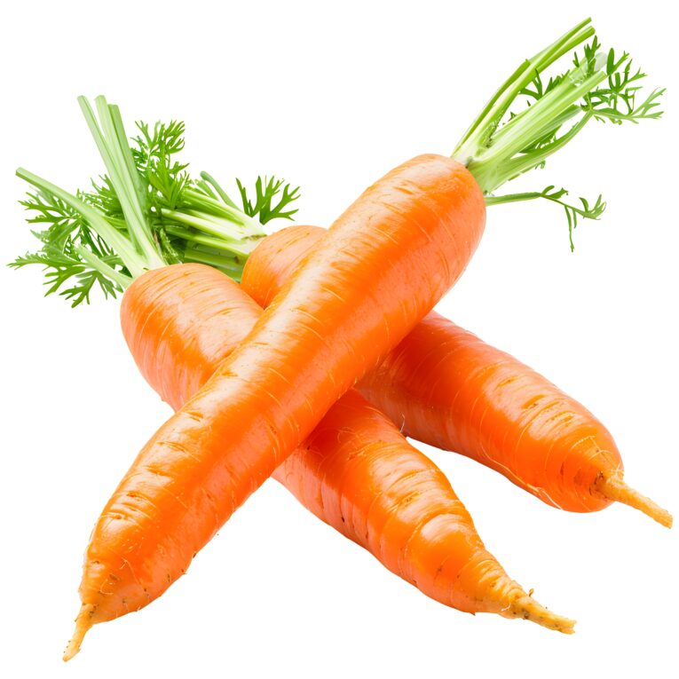 Carrots 1