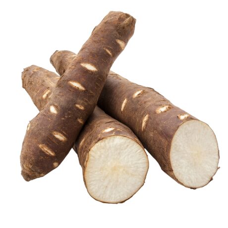 Cassava