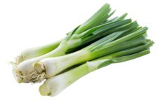 Leek