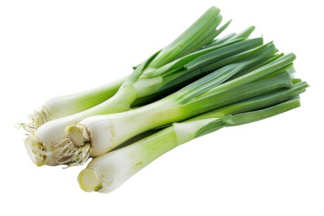 Leek