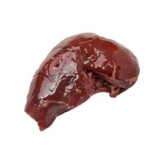 Liver